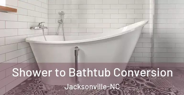 inner Bathroom imggen Shower to Bathtub Conversion Jacksonville-NC