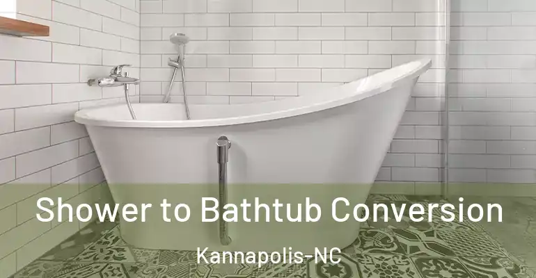 inner Bathroom imggen Shower to Bathtub Conversion Kannapolis-NC
