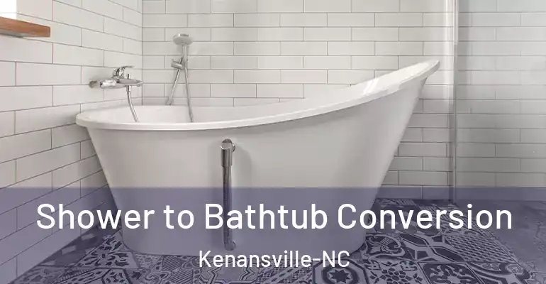 inner Bathroom imggen Shower to Bathtub Conversion Kenansville-NC