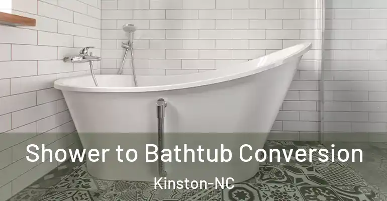 inner Bathroom imggen Shower to Bathtub Conversion Kinston-NC