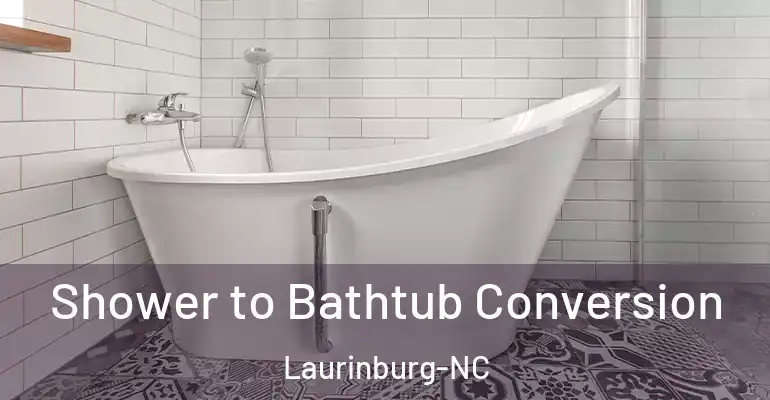 inner Bathroom imggen Shower to Bathtub Conversion Laurinburg-NC