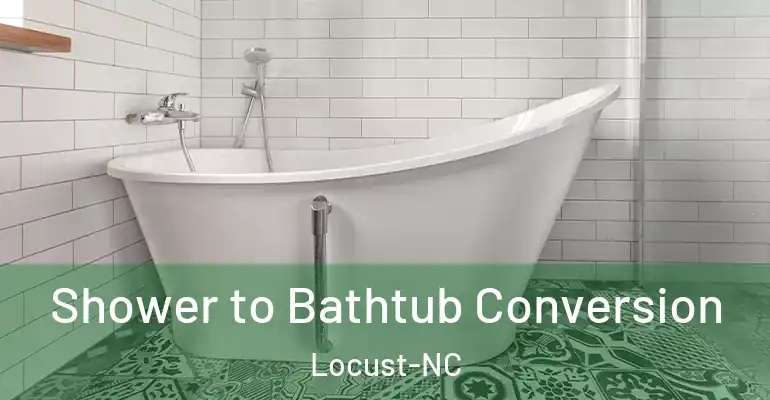inner Bathroom imggen Shower to Bathtub Conversion Locust-NC