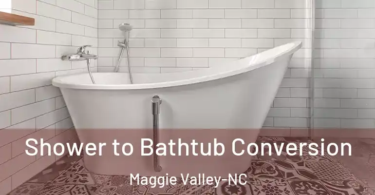 inner Bathroom imggen Shower to Bathtub Conversion Maggie Valley-NC