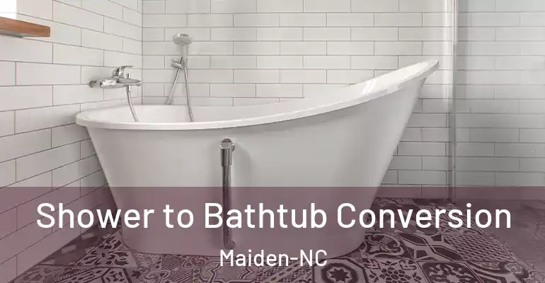 inner Bathroom imggen Shower to Bathtub Conversion Maiden-NC