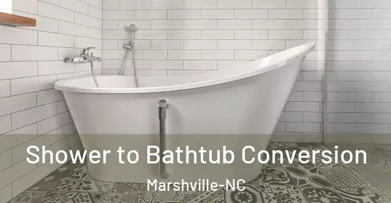 inner Bathroom imggen Shower to Bathtub Conversion Marshville-NC