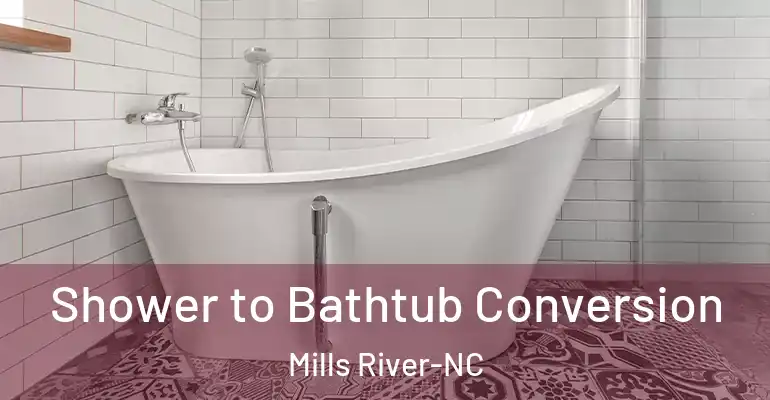 inner Bathroom imggen Shower to Bathtub Conversion Mills River-NC