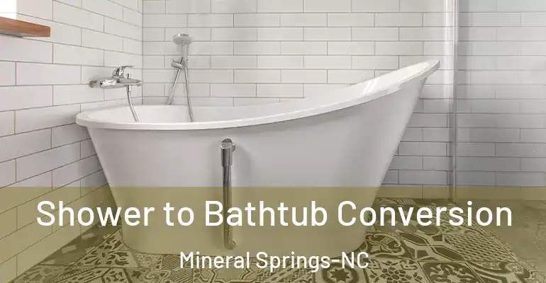 inner Bathroom imggen Shower to Bathtub Conversion Mineral Springs-NC