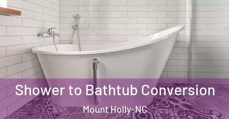 inner Bathroom imggen Shower to Bathtub Conversion Mount Holly-NC
