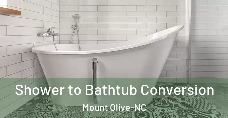 inner Bathroom imggen Shower to Bathtub Conversion Mount Olive-NC