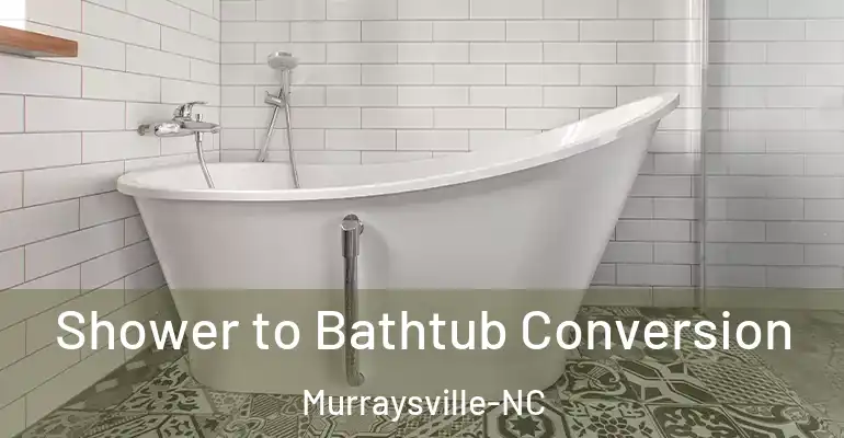 inner Bathroom imggen Shower to Bathtub Conversion Murraysville-NC