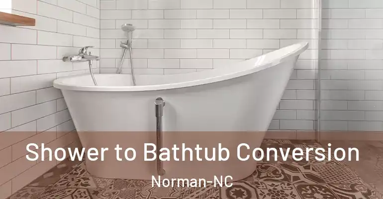 inner Bathroom imggen Shower to Bathtub Conversion Norman-NC