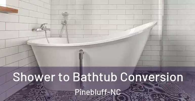 inner Bathroom imggen Shower to Bathtub Conversion Pinebluff-NC