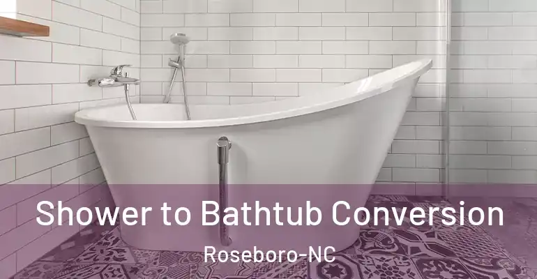 inner Bathroom imggen Shower to Bathtub Conversion Roseboro-NC