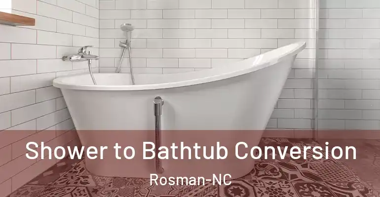 inner Bathroom imggen Shower to Bathtub Conversion Rosman-NC