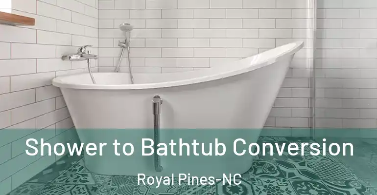 inner Bathroom imggen Shower to Bathtub Conversion Royal Pines-NC