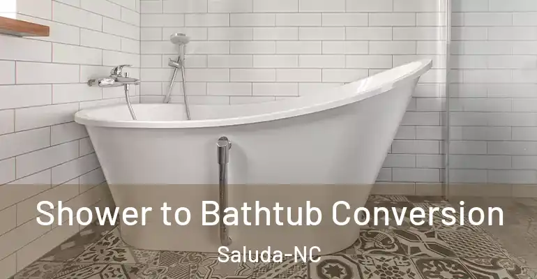 inner Bathroom imggen Shower to Bathtub Conversion Saluda-NC