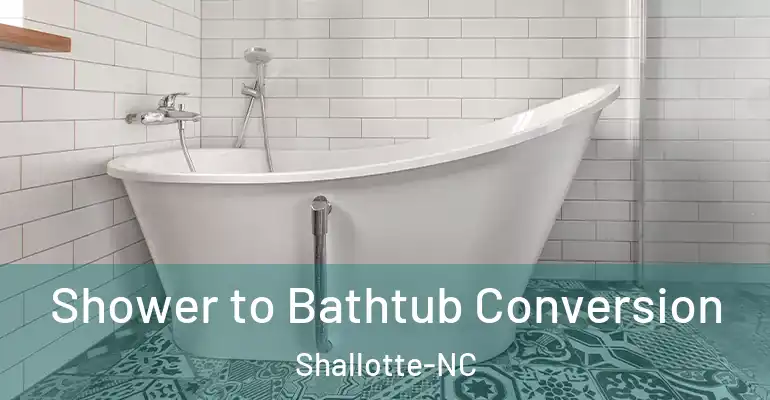 inner Bathroom imggen Shower to Bathtub Conversion Shallotte-NC