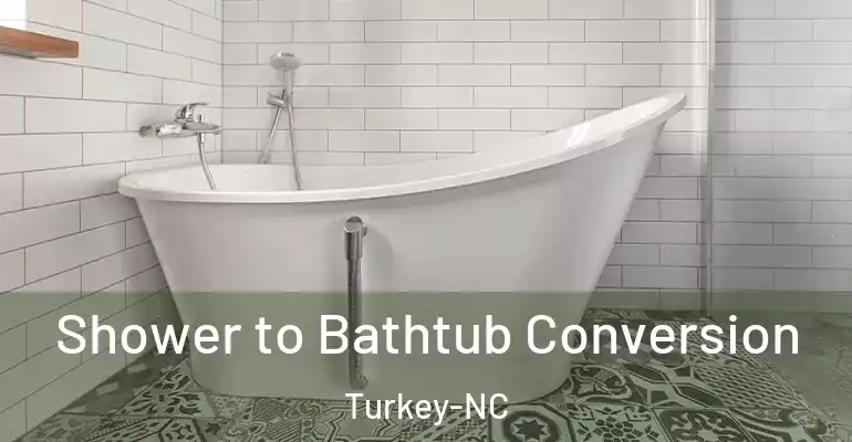inner Bathroom imggen Shower to Bathtub Conversion Turkey-NC