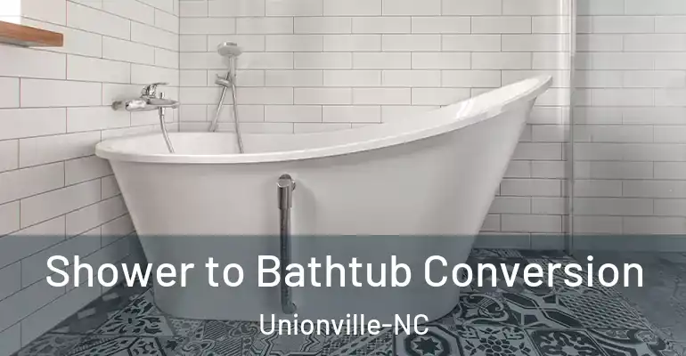 inner Bathroom imggen Shower to Bathtub Conversion Unionville-NC