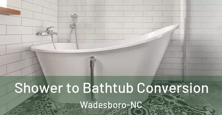 inner Bathroom imggen Shower to Bathtub Conversion Wadesboro-NC