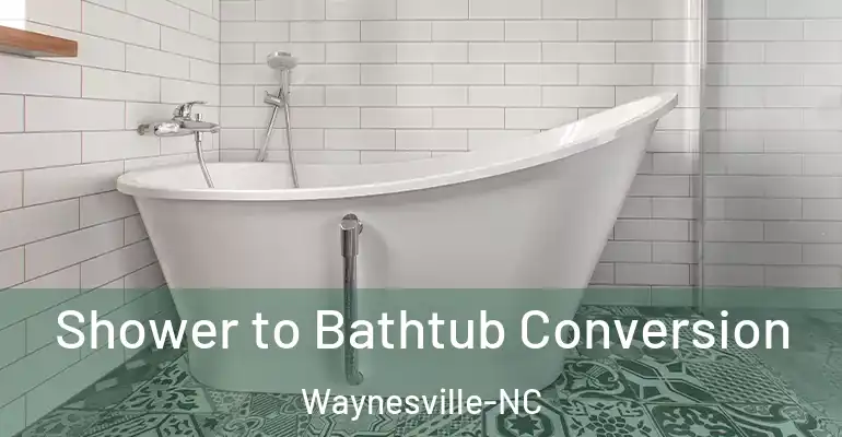 inner Bathroom imggen Shower to Bathtub Conversion Waynesville-NC