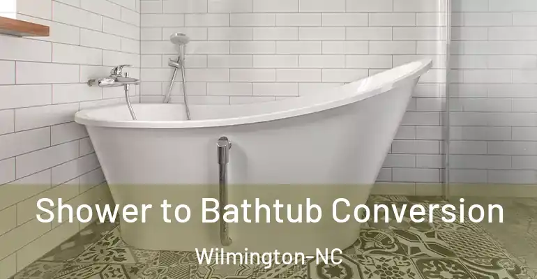 inner Bathroom imggen Shower to Bathtub Conversion Wilmington-NC