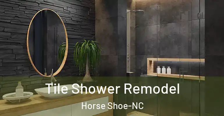 inner Bathroom imggen Tile Shower Remodel Horse Shoe-NC