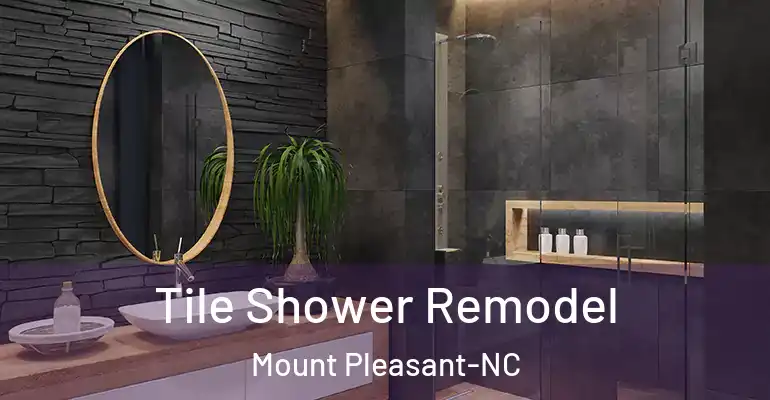inner Bathroom imggen Tile Shower Remodel Mount Pleasant-NC