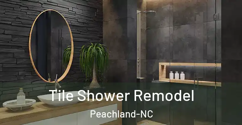 inner Bathroom imggen Tile Shower Remodel Peachland-NC