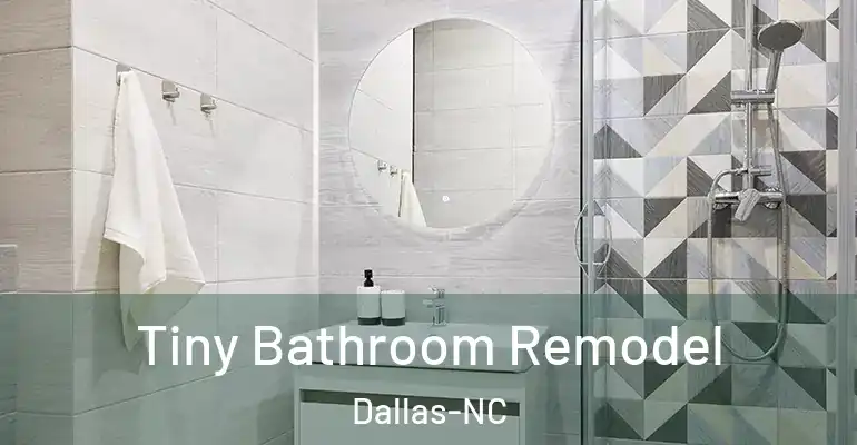 inner Bathroom imggen Tiny Bathroom Remodel Dallas-NC