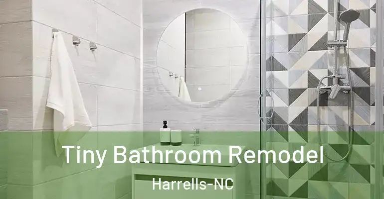 inner Bathroom imggen Tiny Bathroom Remodel Harrells-NC