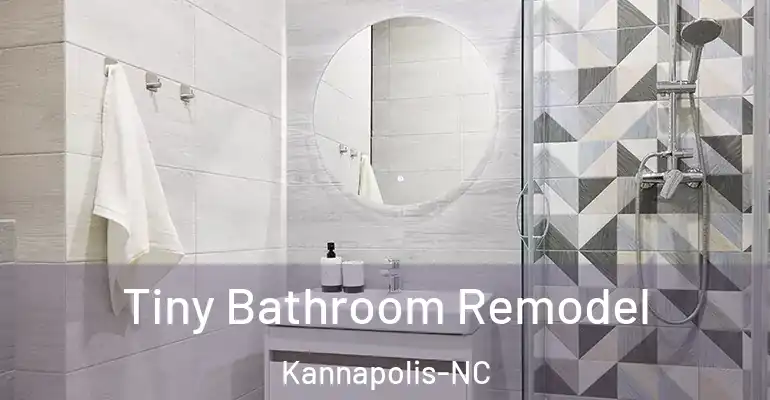 inner Bathroom imggen Tiny Bathroom Remodel Kannapolis-NC