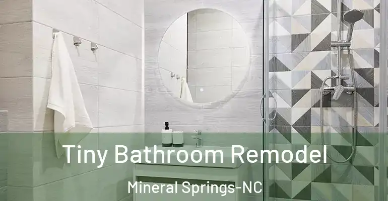 inner Bathroom imggen Tiny Bathroom Remodel Mineral Springs-NC