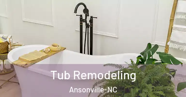 inner Bathroom imggen Tub Remodeling Ansonville-NC