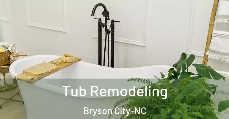 inner Bathroom imggen Tub Remodeling Bryson City-NC