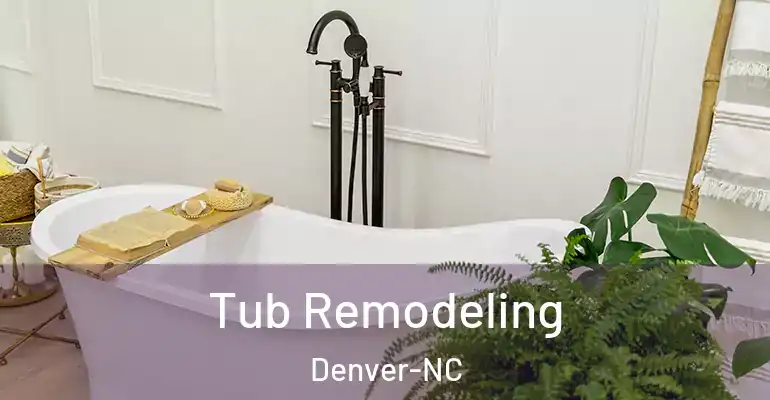 inner Bathroom imggen Tub Remodeling Denver-NC