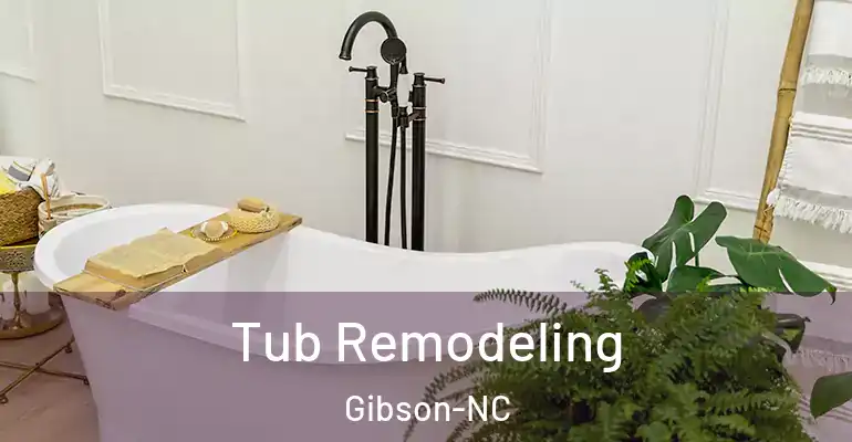 inner Bathroom imggen Tub Remodeling Gibson-NC