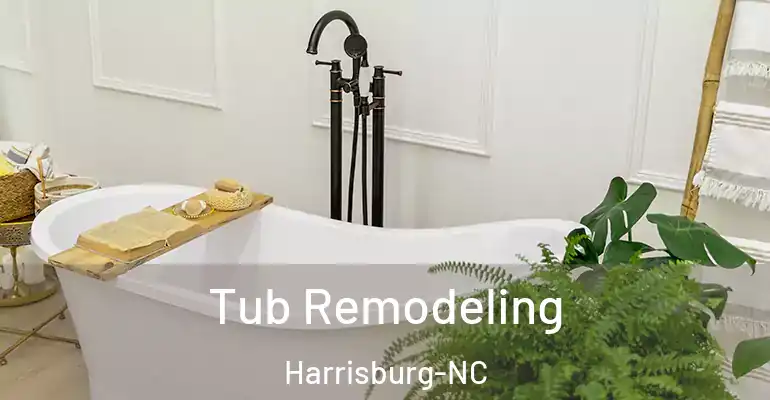 inner Bathroom imggen Tub Remodeling Harrisburg-NC