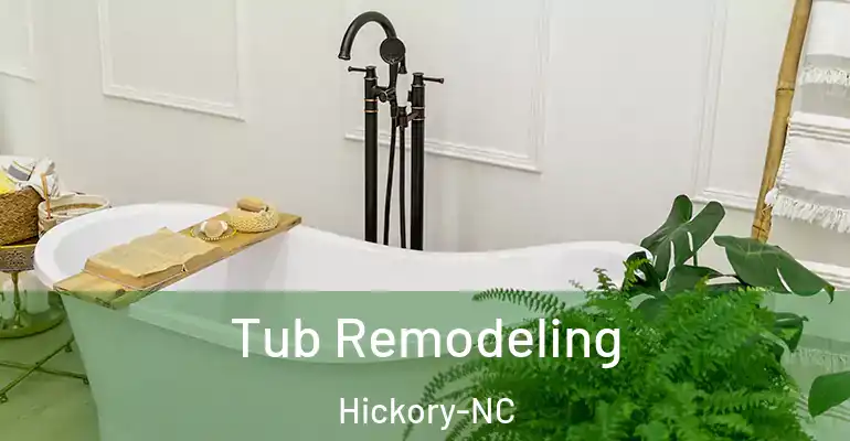 inner Bathroom imggen Tub Remodeling Hickory-NC