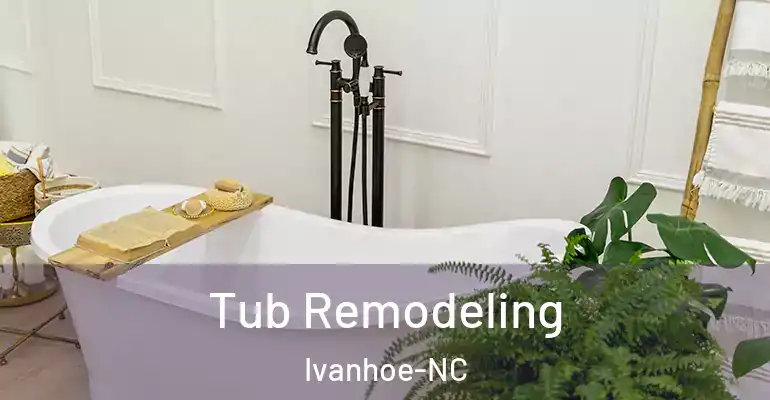 inner Bathroom imggen Tub Remodeling Ivanhoe-NC