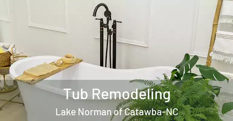 inner Bathroom imggen Tub Remodeling Lake Norman of Catawba-NC
