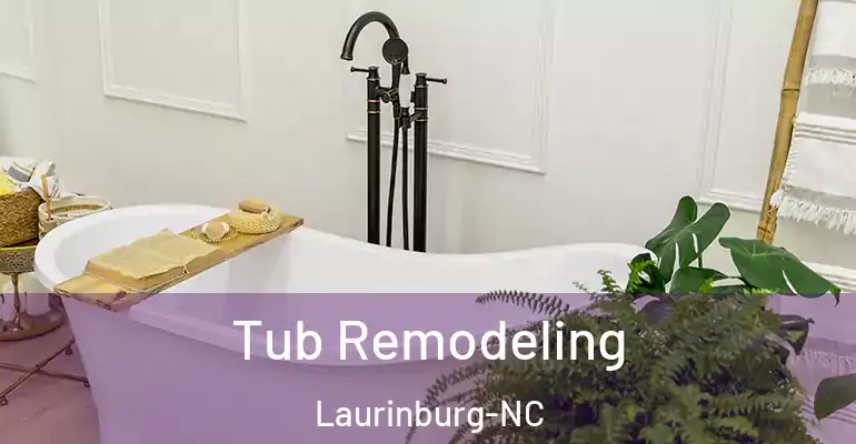 inner Bathroom imggen Tub Remodeling Laurinburg-NC
