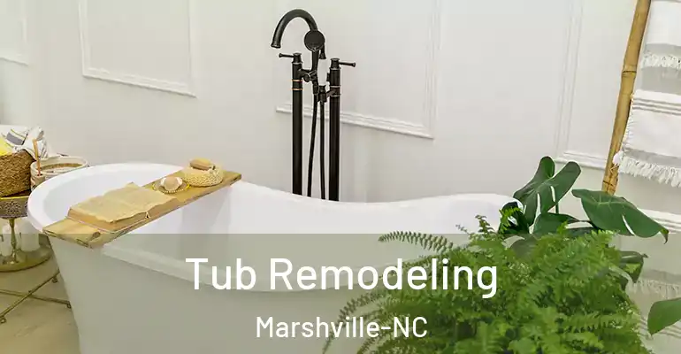 inner Bathroom imggen Tub Remodeling Marshville-NC
