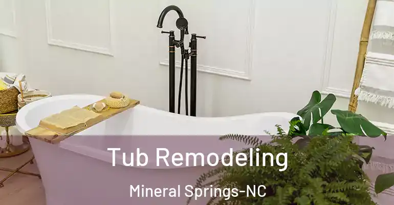 inner Bathroom imggen Tub Remodeling Mineral Springs-NC