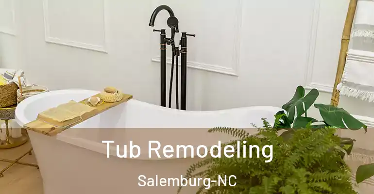 inner Bathroom imggen Tub Remodeling Salemburg-NC