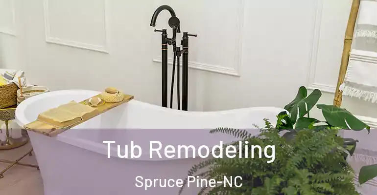 inner Bathroom imggen Tub Remodeling Spruce Pine-NC