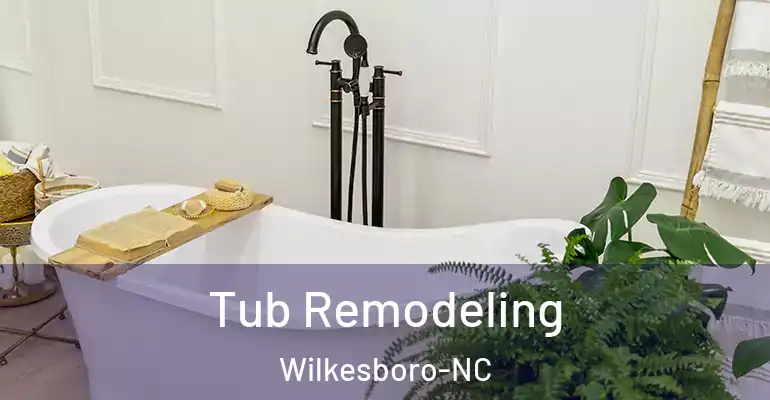 inner Bathroom imggen Tub Remodeling Wilkesboro-NC