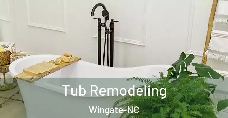 inner Bathroom imggen Tub Remodeling Wingate-NC