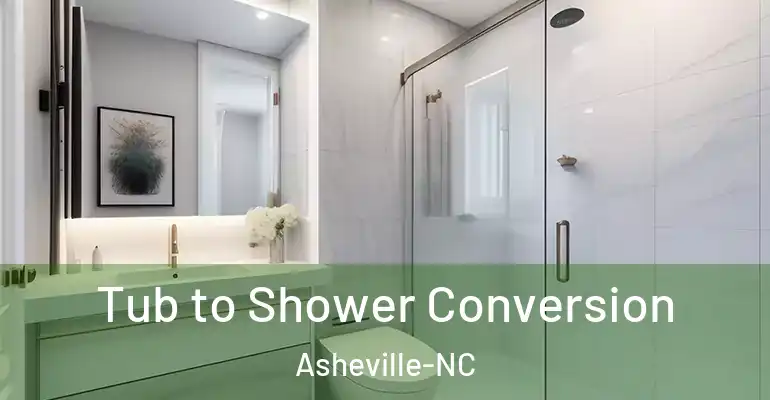 inner Bathroom imggen Tub to Shower Conversion Asheville-NC