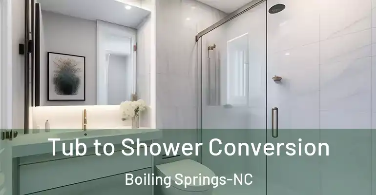 inner Bathroom imggen Tub to Shower Conversion Boiling Springs-NC
